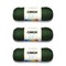Caron Simply Soft Dark Sage Yarn - 3 Pack of 170g/6oz - Acrylic - 4 Medium (Worsted) - 315 Yards - Knitting/Crochet